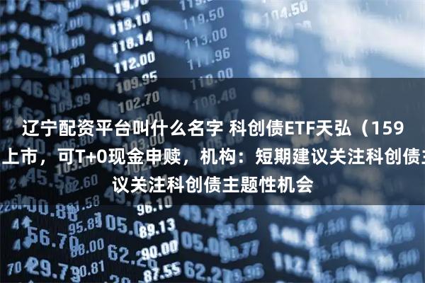 辽宁配资平台叫什么名字 科创债ETF天弘(159111)明日上市,可T+0现金申赎,机构:短期建议关注科创债主题性机会