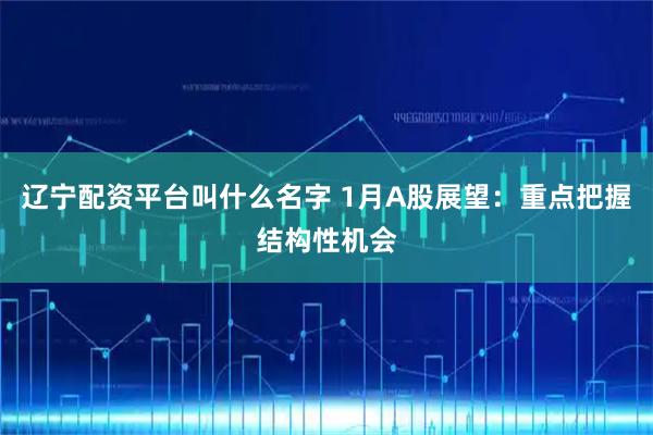 辽宁配资平台叫什么名字 1月A股展望：重点把握结构性机会
