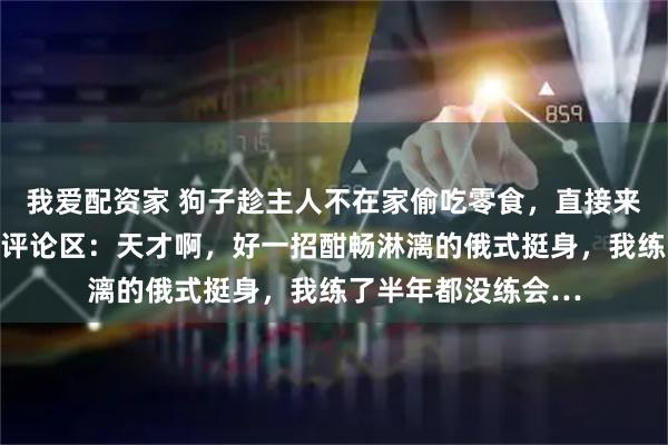 我爱配资家 狗子趁主人不在家偷吃零食，直接来了个武行十八式，评论区：天才啊，好一招酣畅淋漓的俄式挺身，我练了半年都没练会…